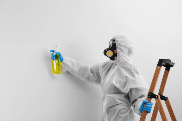 Best Biohazard Mold Removal  in Palmyra, MO